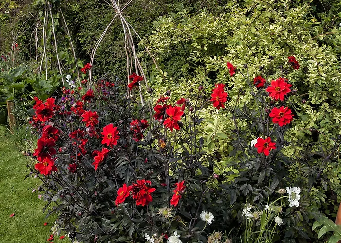 Grays Court 酒店 4*