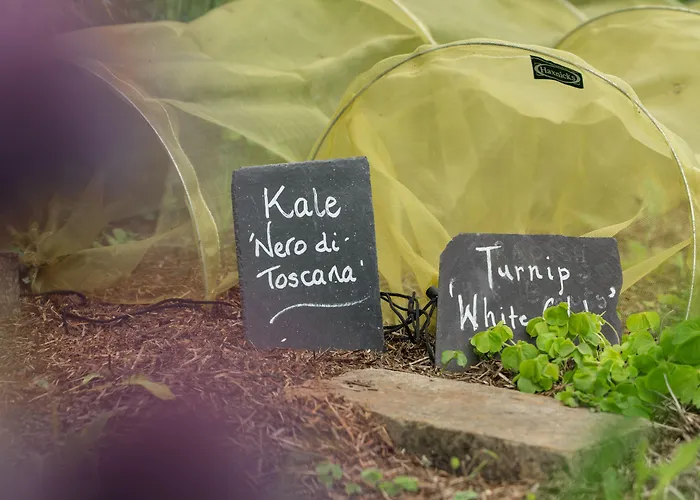 Grays Court 4* 约克