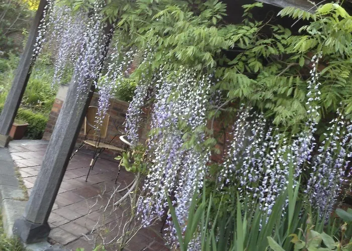 酒店 Grays Court 4*