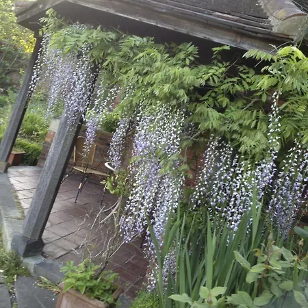 Hotel Grays Court 4*